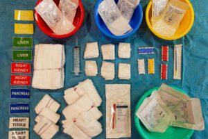 5011 Abdominal Organ Retrieval