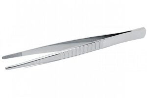 Dissecting Forceps